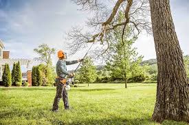 Best Lawn Pest Prevention  in Fairbanks, AK