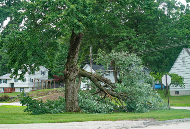 Best Emergency Tree Removal  in Fairbanks, AK